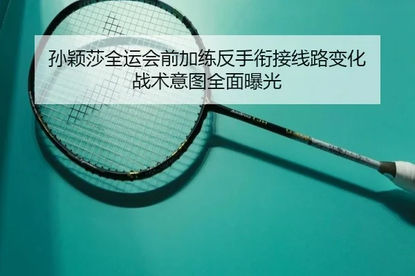 孙颖莎全运会前加练反手衔接线路变化 战术意图全面曝光 - MILANSPORT